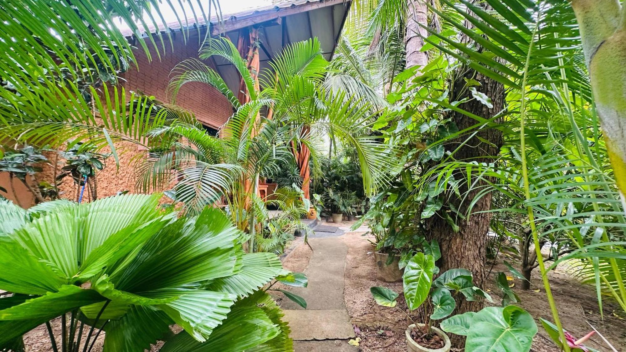 Ama Nature Cottage Sigiriya Exteriör bild
