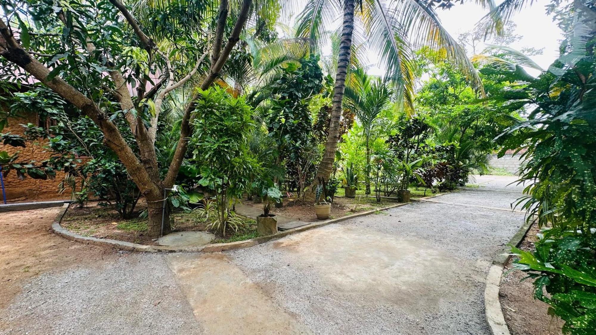 Ama Nature Cottage Sigiriya Exteriör bild