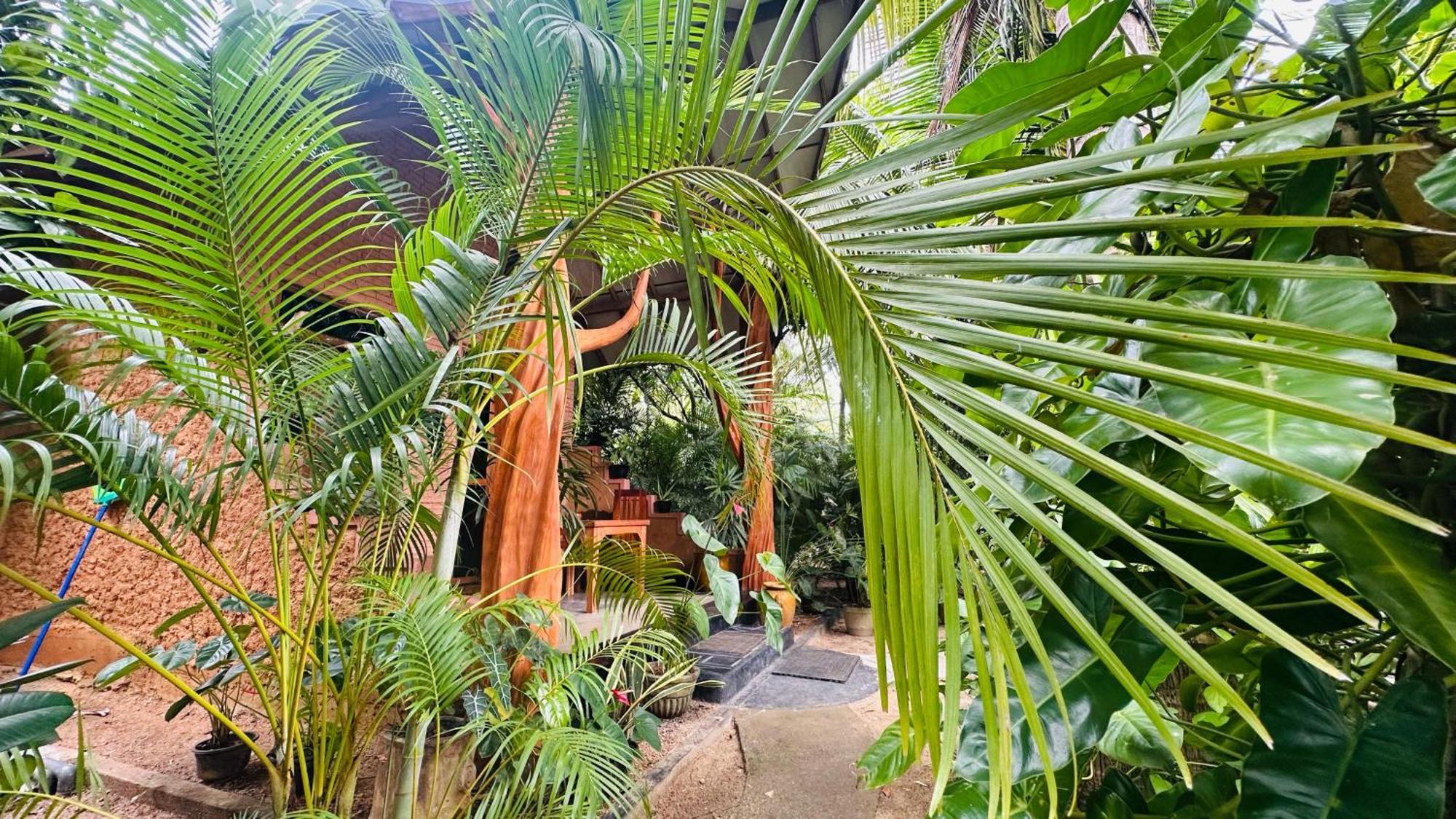 Ama Nature Cottage Sigiriya Exteriör bild